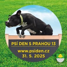 Ps den 2024