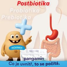 Nae druh j ve stevech: pro se k, e tlust stevo je druh mozek