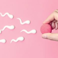 IVF studie zdarma: Monost, jak zskat uml oplodnn bez finann zte