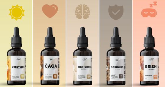 Jak si vybrat houbu pro sebe?