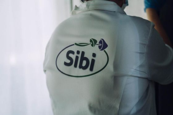Sibi Sibi