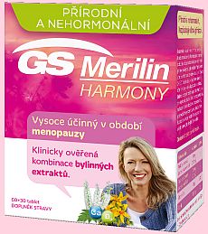 GS Merilin