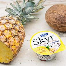 Bohuovick SKYR