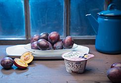 SKYR švestka SKYR švestka