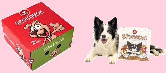 SPOKOBOX SPOKOBOX