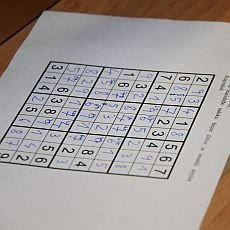 Mistrovstv akademik R v sudoku 2014