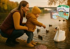 Tommi Ducks & Swans: Jak správně krmit kachny a labutě (bez pečiva) Tommi Ducks & Swans: Jak správně krmit kachny a labutě (bez pečiva)