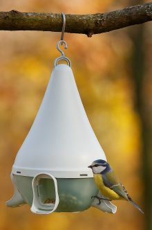 Zimn oza pro ptky: jak vybrat krmtko a m sprvn krmit