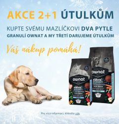 AKCE 2+1 ÚTULKŮM AKCE 2+1 ÚTULKŮM