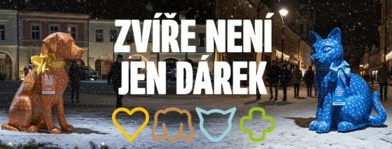 Nejvt esk vrobce krmiv pro domc mazlky apeluje: Zve nen jen drek