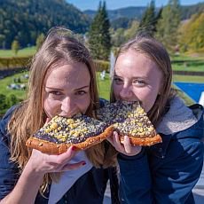 Karlovský gastrofestival - soutěž frgále Karlovský gastrofestival - soutěž frgále