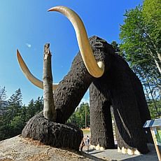 Ob mamut
