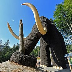 Obří mamut Obří mamut