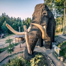 Obří mamut Obří mamut
