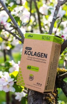 Vitar EKO Kolagen forte Vitar EKO Kolagen forte