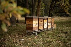 farma Vostoupalovi farma Vostoupalovi