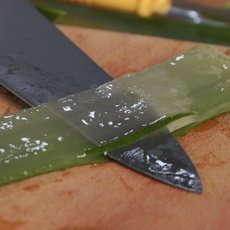 Kouzelné bylinky - Stvořené pro ženy Kouzelné bylinky - Stvořené pro ženy
