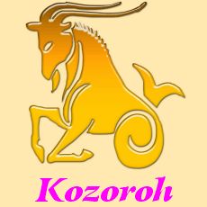 Kozoroh - horoskop na rok 2019