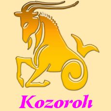 Kozoroh - horoskop na rok 2010