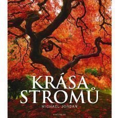 Krása stromů - Michael Jordan Krása stromů - Michael Jordan