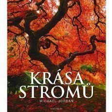 Krsa strom - Michael Jordan