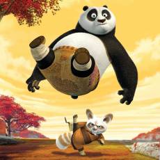 Kung Fu Panda Kung Fu Panda