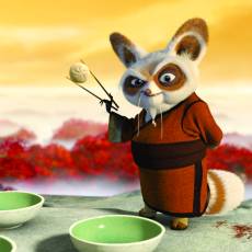 Kung Fu Panda Kung Fu Panda
