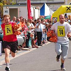 Cibulov festival