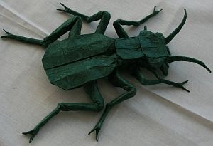 vstava Origami