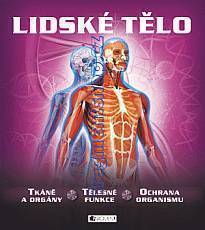 lidske-telo