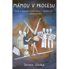 M�mou v procesu