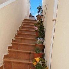 středomořská flora středomořská flora