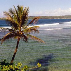 Cestománie: Martinik a Guadeloupe – Žhavé Malé Antily Cestománie: Martinik a Guadeloupe – Žhavé Malé Antily