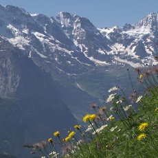 Na cest po Bernskch Alpch