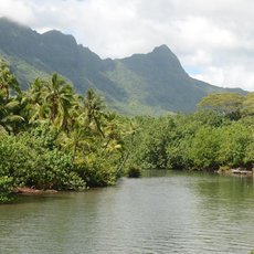 Na cestě po Bora Bora Na cestě po Bora Bora