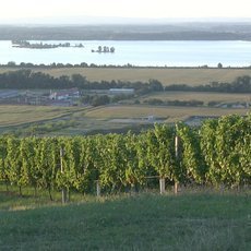 Naše tradice - Vinobraní Naše tradice - Vinobraní