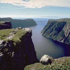 Newfoundland – drsný klenot Kanady Newfoundland – drsný klenot Kanady