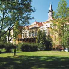 Olivovna Olivovna