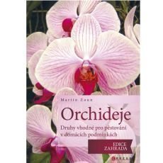 Orchideje - druhy vhodné pro pěstování v domácích podmínkách Orchideje - druhy vhodné pro pěstování v domácích podmínkách