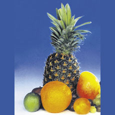 Ananas a ovoce