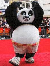 Kung Fu Panda Kung Fu Panda