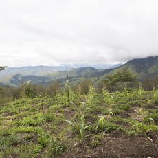 Papua Nov Guinea: dva svty - Pagi