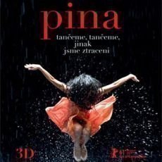 pina pina