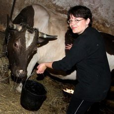 Farm hled enu  Zabijaka, vlety, hdky i polibky