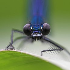 Unik�tn� dokumenty na Prima ZOOM pro 15. t�den