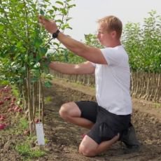 RECEPT PRIMA NPAD 26. 10. 2025