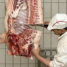Vepov maso - prava a zpracovn