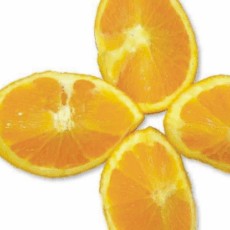 Vn citrusovch plod vs osv