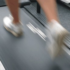 Letní olympiáda v Praze Letní olympiáda v Praze