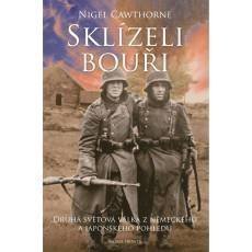 sklizeli-bouri